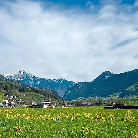 In Near Slopes 4*